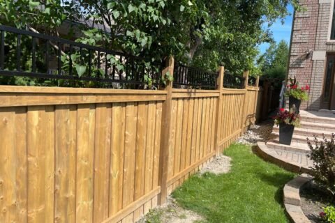 Pressure-treated (PT) wood fences